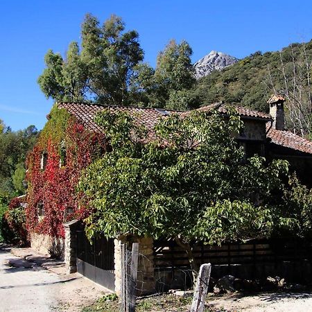 Molino Rodete ξενώνας Jimera de Líbar Εξωτερικό φωτογραφία