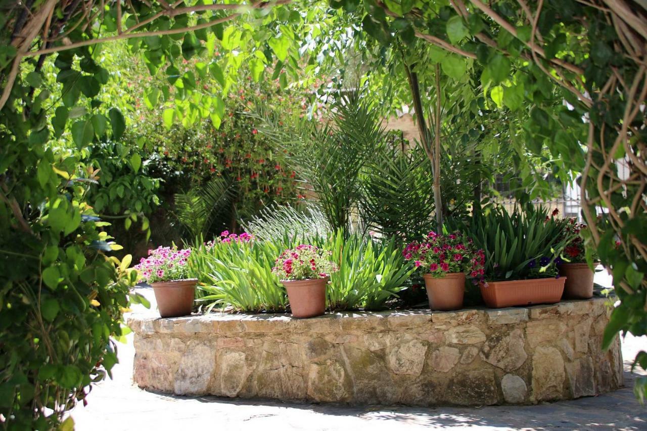 Molino Rodete ξενώνας Jimera de Líbar Εξωτερικό φωτογραφία